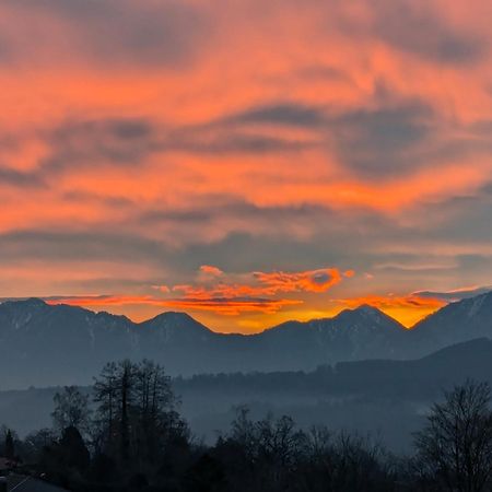 Am Eichholz Galerie & Art-Hotel Murnau am Staffelsee Exteriör bild