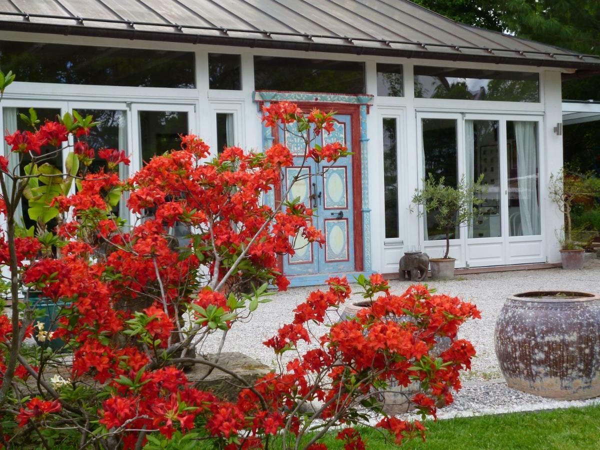 Am Eichholz Galerie & Art-Hotel Murnau am Staffelsee Exteriör bild
